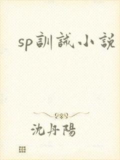 sp训诫小说
