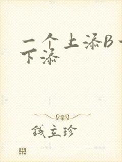 一个上添B一个下添