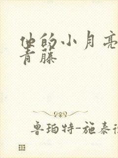 他的小月亮by青藤