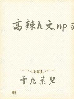 高辣h文np爽