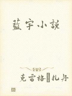 蓝宇小说