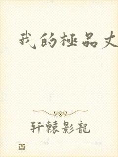 我的极品丈母娘