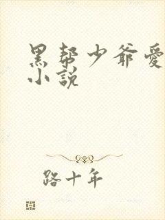 黑帮少爷爱上我小说