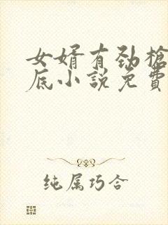 女婿有劲枪枪到底小说免费看