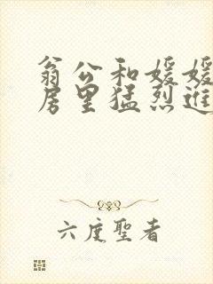 翁公和媛媛在厨房里猛烈进出