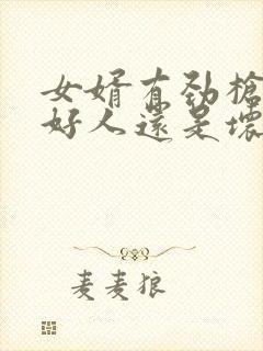 女婿有劲枪枪是好人还是坏人