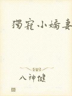 独宠小娇妻