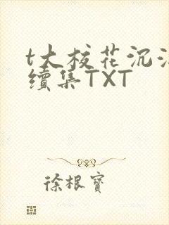 t大校花沉浮录续集TXT
