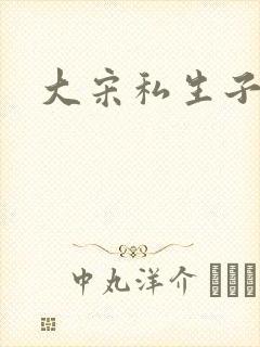 大宋私生子