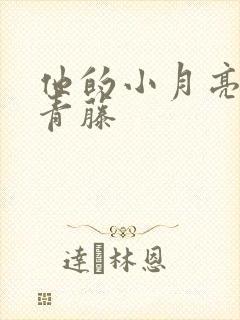 他的小月亮by青藤