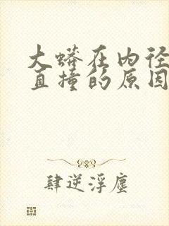 大蟒在内径横冲直撞的原因