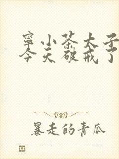 宁小茶太子殿下今天破戒了吗免费阅读