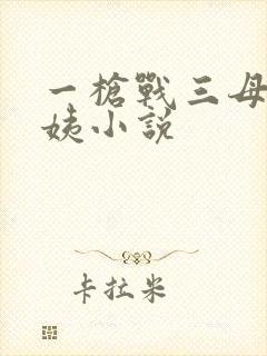 一枪战三母2雪姨小说