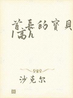 首长的宝贝1v1高h