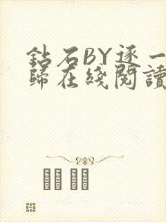 钻石BY逐一而归在线阅读