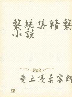 系统集精系统 小说