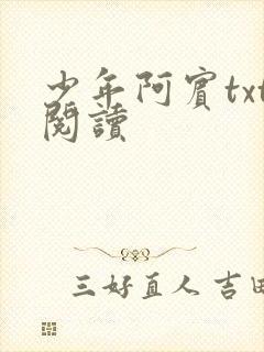少年阿宾txt阅读