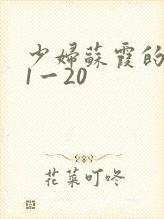 少妇苏霞的沉沦1一20