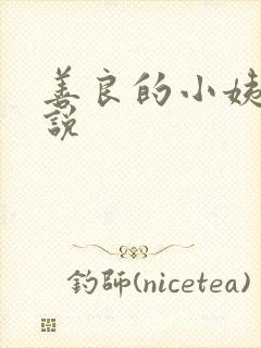 善良的小姨子小说