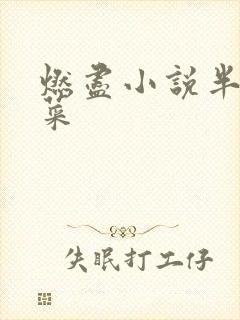 燃尽小说半截白菜