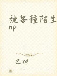 被各种陌生人 np