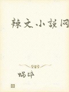 辣文小说网