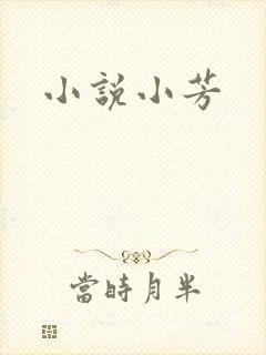 小说小芳