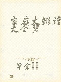 家庭大杂烩小说大全儿