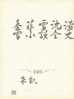 秦菲雪沈浩秦菲雪小说全文免费阅读求书