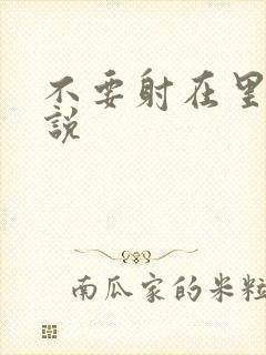 不要射在里面小说