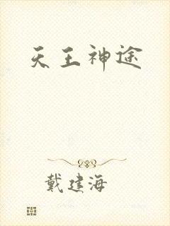 天王神途