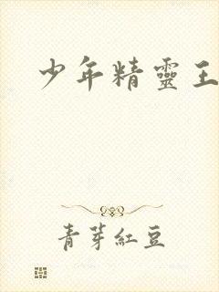 少年精灵王