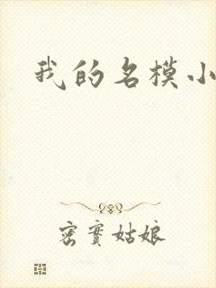 我的名模小娇妻