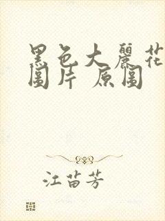 黑色大丽花真实图片 原图