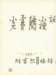 小青梅小说全文免费阅读