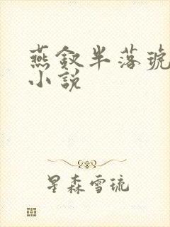 燕钗半落琥珀糖小说