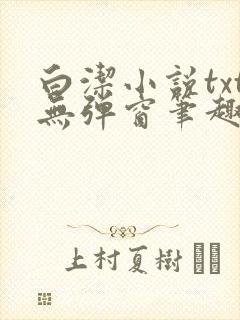 白洁小说txt无弹窗笔趣阁