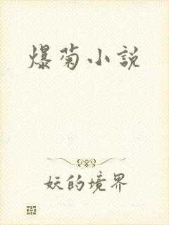 爆菊小说