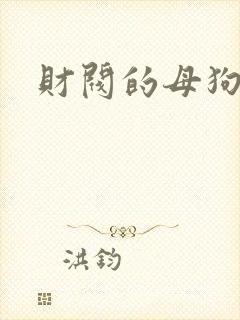 财阀的母狗们