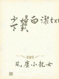 少妇白洁txt下载