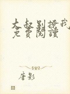 大叔别撩我小说免费阅读