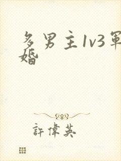 多男主1v3军婚