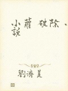 小萝 破除 小说