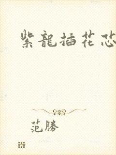 紫龙插花芯方正