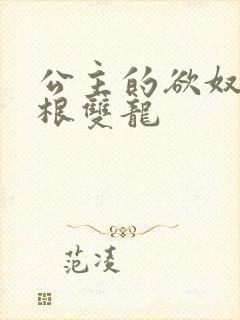 公主的欲奴h四根双龙