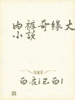 内裤奇缘大团结小说