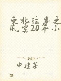 东北往事之黑道风云20年小说