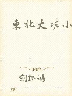 东北大坑小说