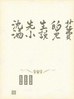 沈先生的花式调酒小说免费阅读