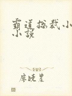 霸道总裁小娇妻小说